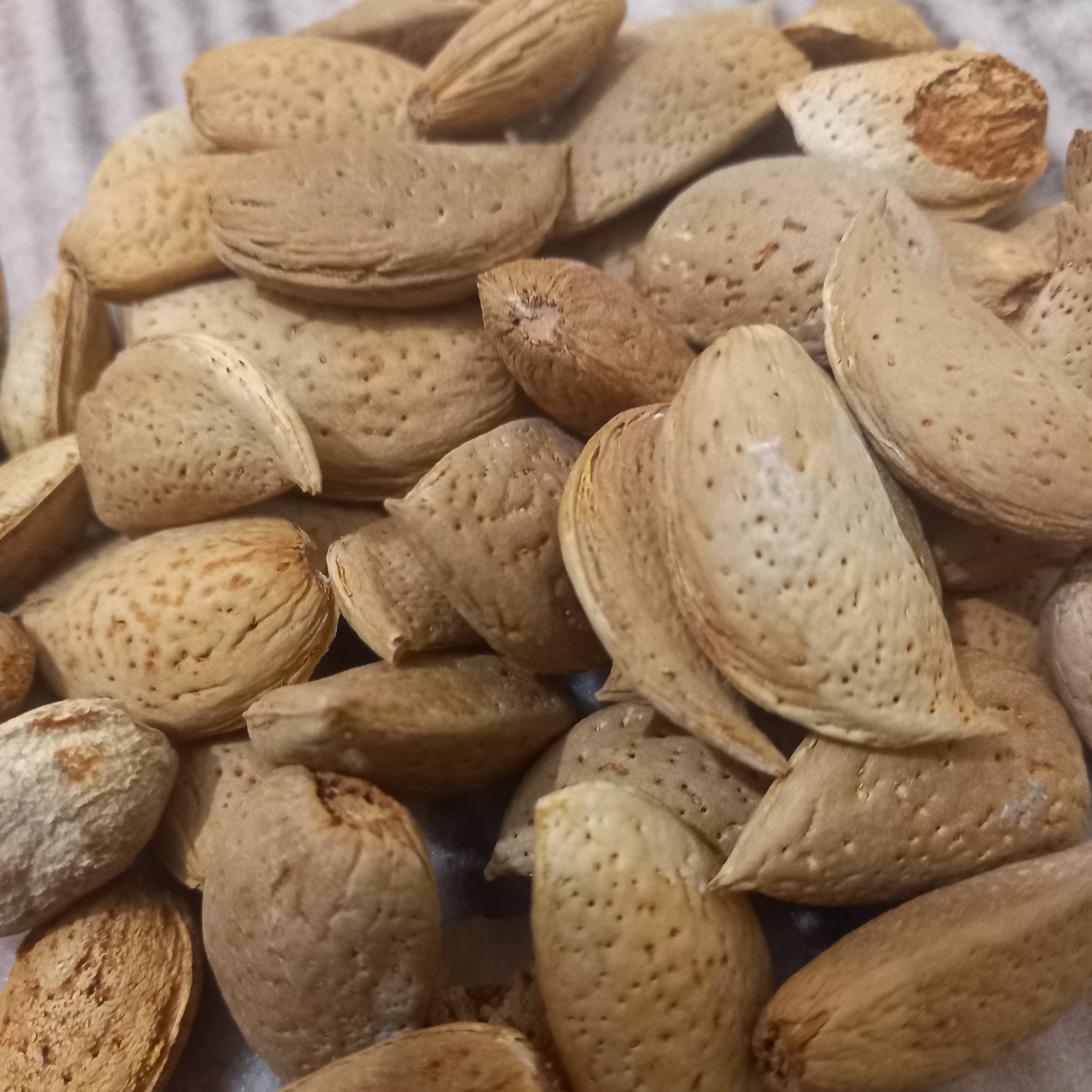 بادام خوش طعم