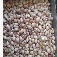 لوبیا چیتی 1 کیلو گرم