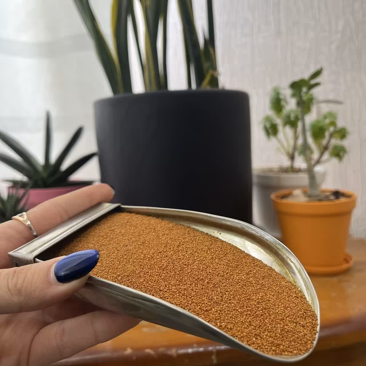 خاکشیر تمیز اعلاء یک کیلویی 