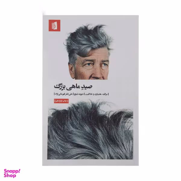 کتاب صید ماهی بزرگ اثر دیوید لینچ انتشارات بیدگل‌