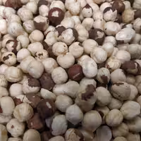 مغز فندق ایرانی رژیمی ( 250 گرمی )