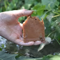 صابون هسته انار رفع جوش و بستن منافذ باز مناسب پوست چرب