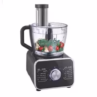 غذاساز 33 کاره دلمونتی DL130