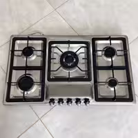 اجاق گاز استیل اریکسان مدل اپکس ترموکوبل (پس کرایه)