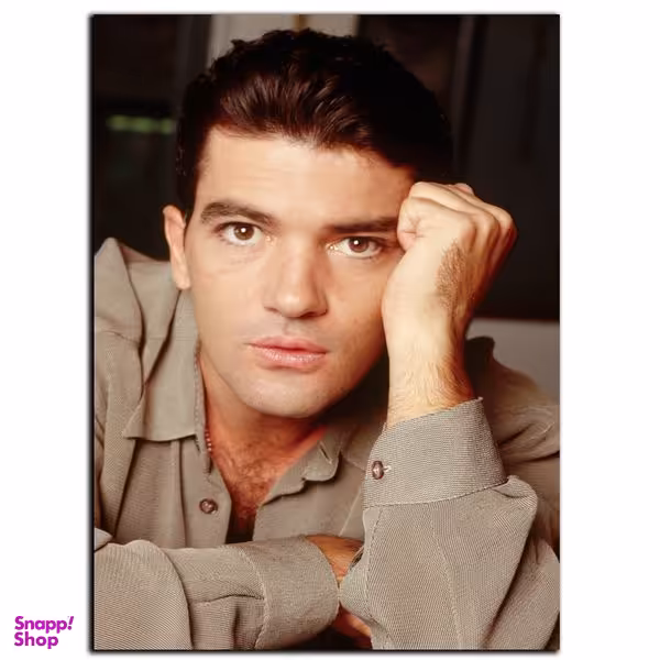 تابلو شاسی بکلیت طرح بازیگر آنتونیو باندراس مدل SH-S619