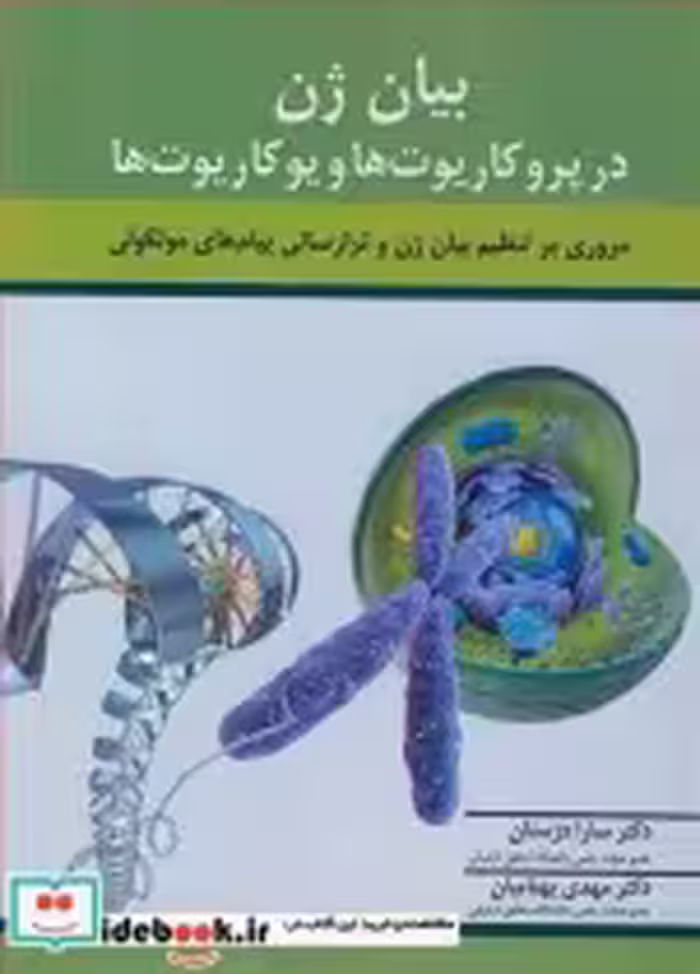 قیمت و خرید کتاب بیان ژن در پروکاریوت ها و یوکاریوت ها | ایده بوک