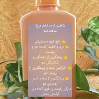شامپو گیاهی زرده تخم مرغ شاهدخت
