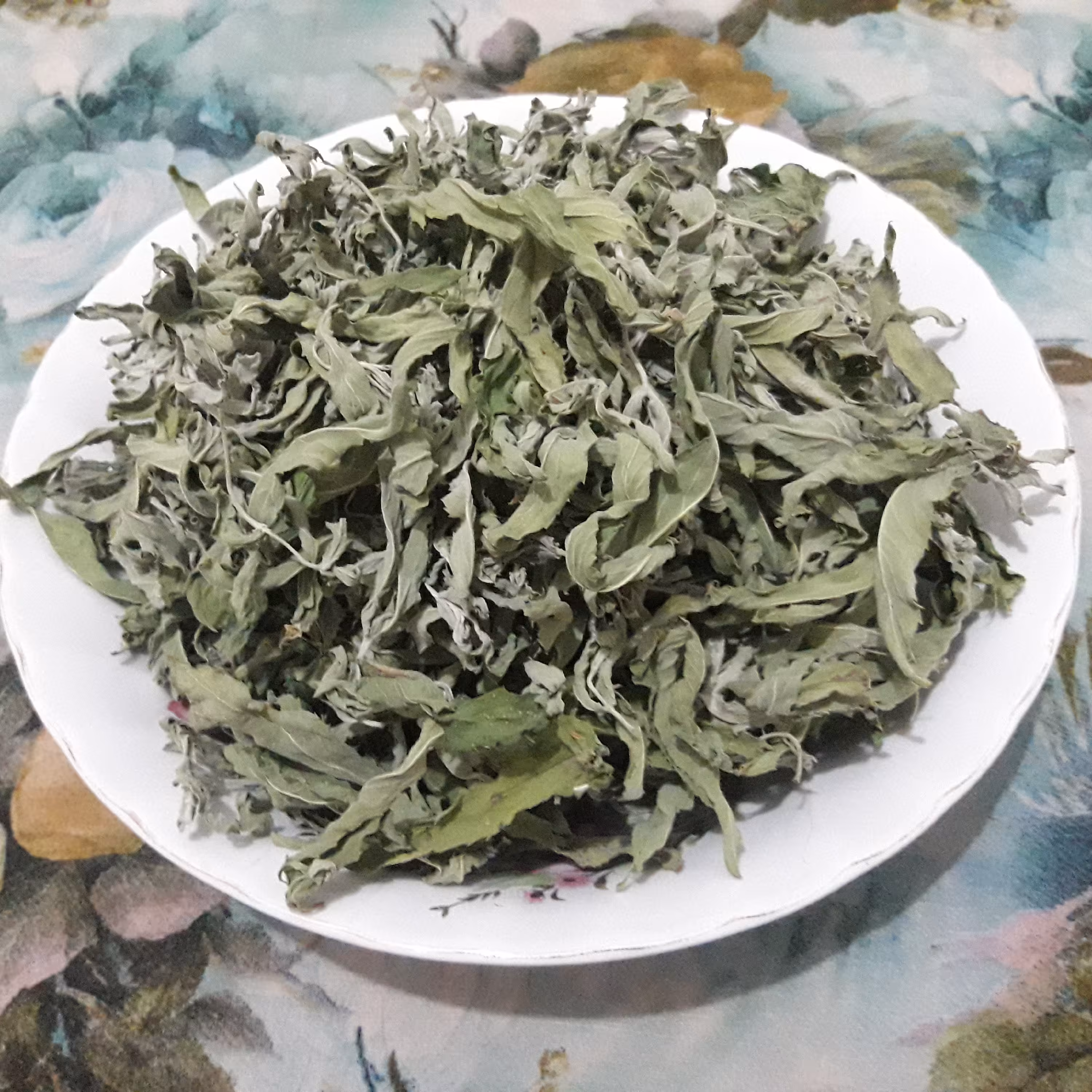 پونه پر خشک درجه عالی تازه