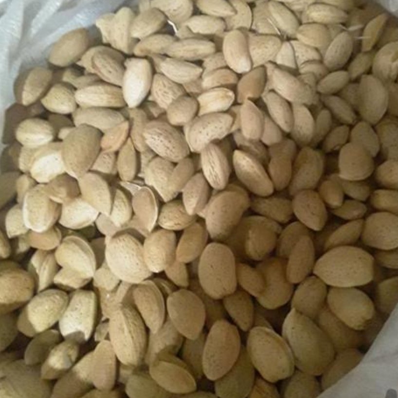 سنگی بادام سنگی