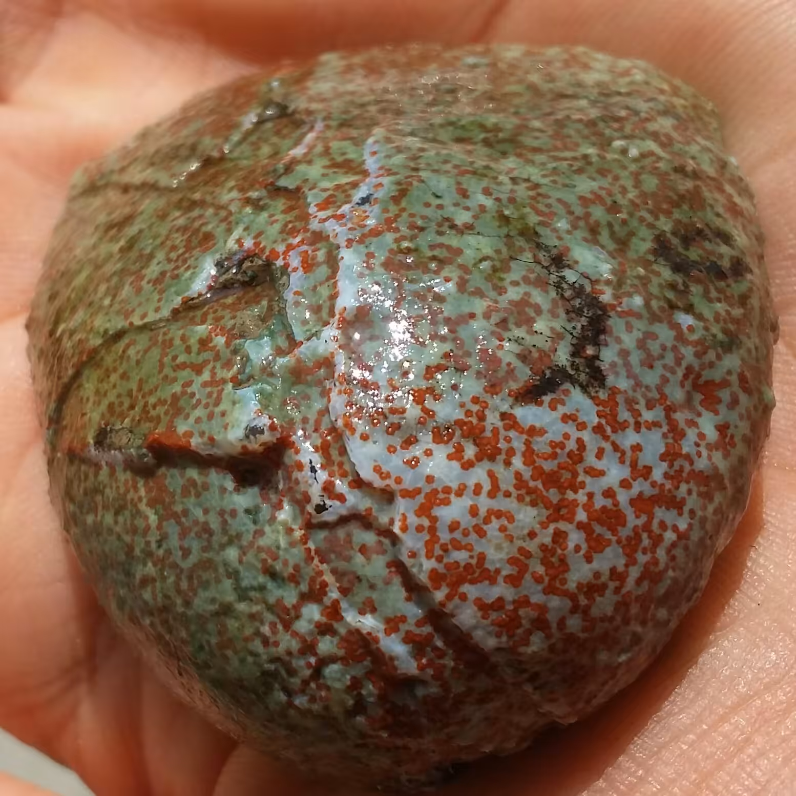 سنگ راف خام عقیق برش نخورده 100 در 100 طبیعی سرشار از خواص شاهکار خلقت
با قابلیت ساخت چند نگین بینظیر کد 6709