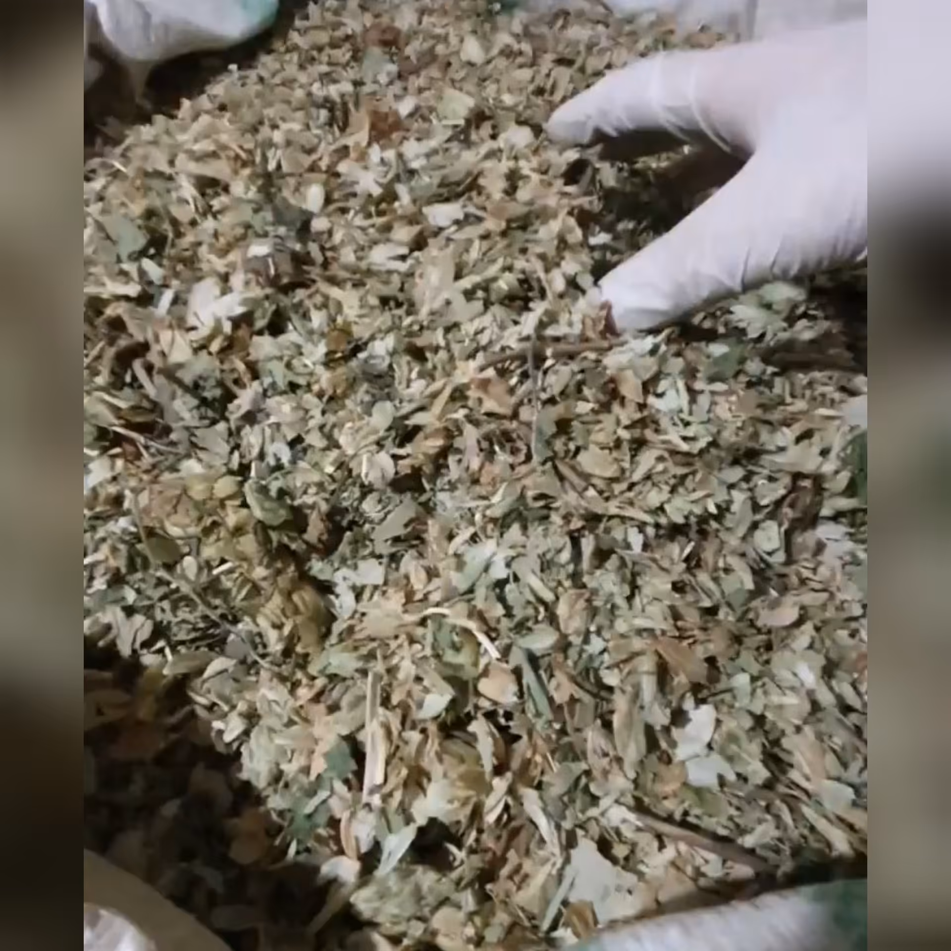 گل زارک 50 گرم 