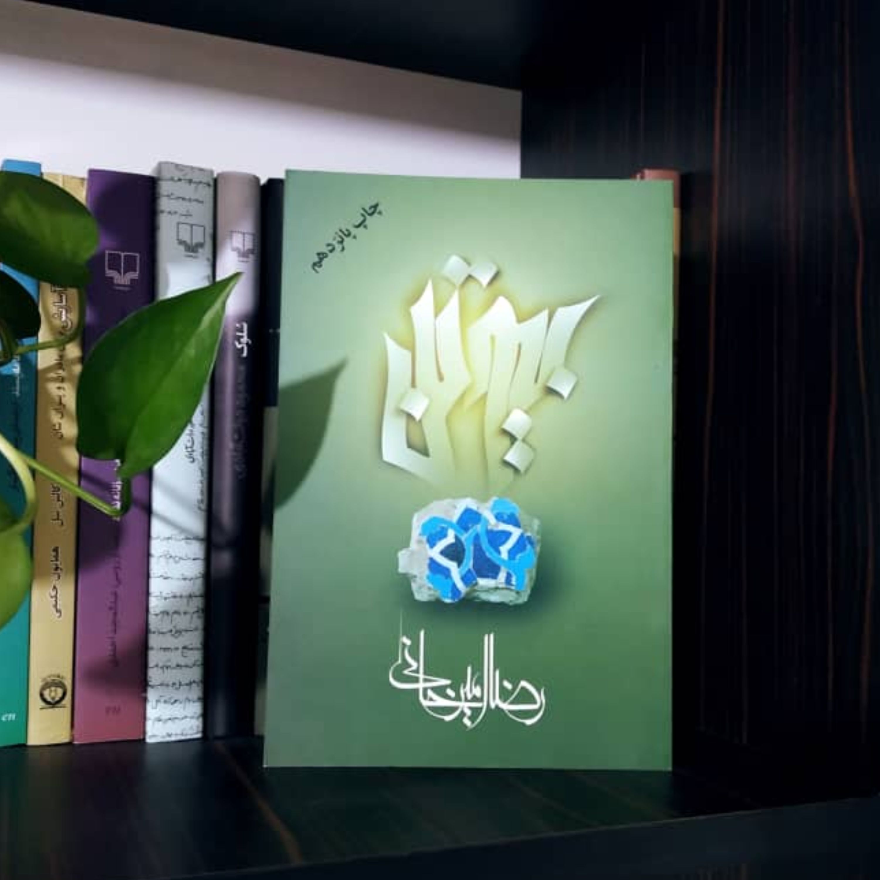 بیوتن رضا امیرخانی - داستان فارسی