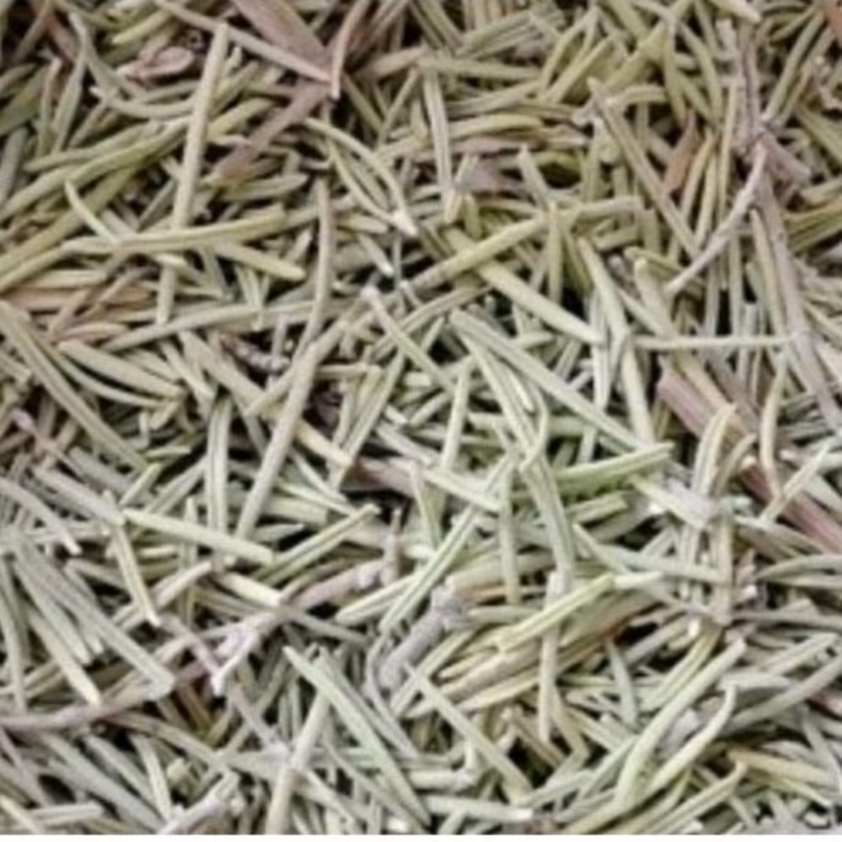 رزماری اعلا  70 گرمی الماس کویر