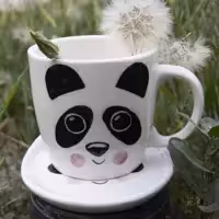 ماگ و زیر لیوانی پاندا( فروش عمده)