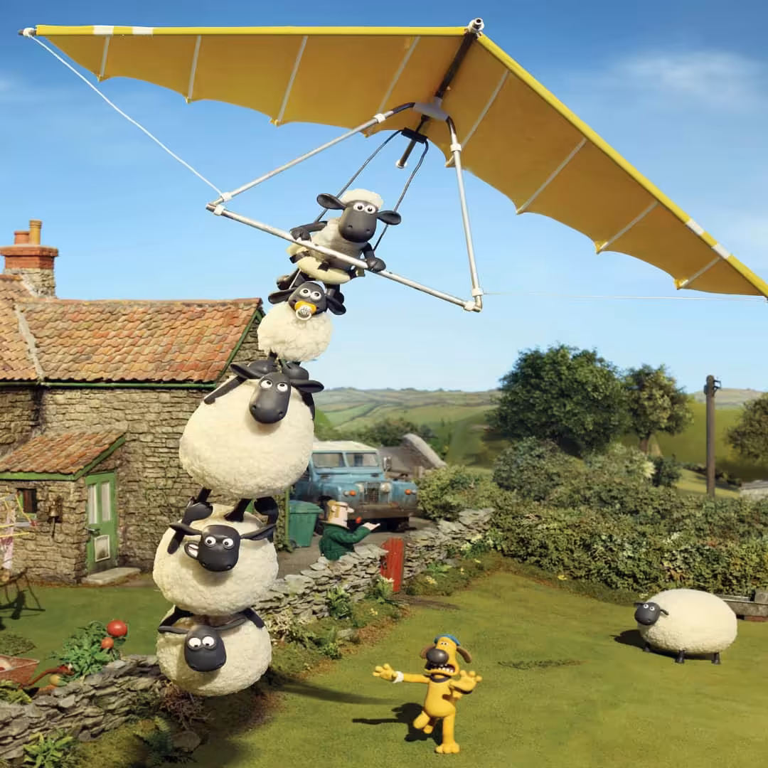 رویه لحاف و بالش 