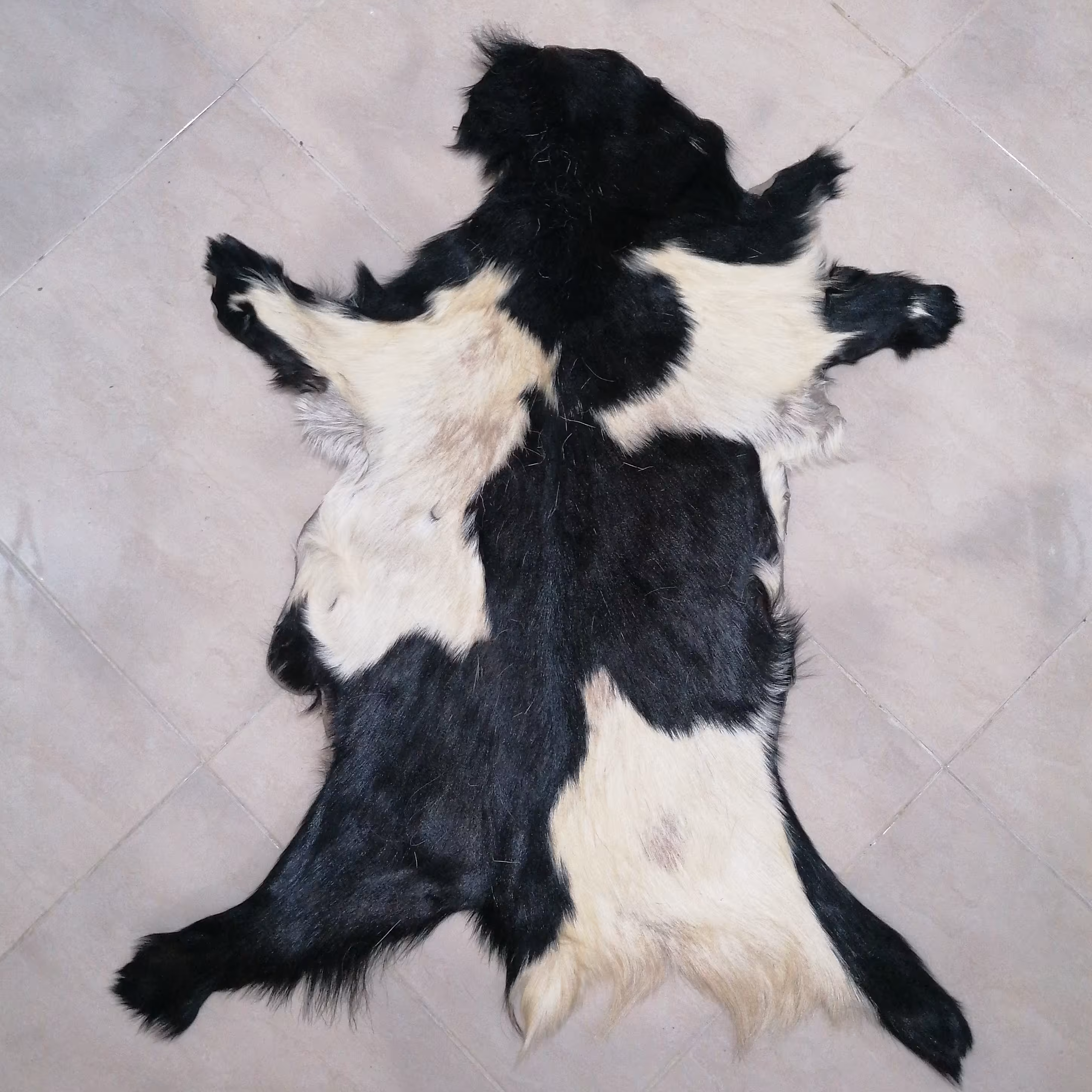 چرم طبیعی پوست مویی بز بسیار با کیفیت و بادوام و خوشرنگ طبیعی و دست نخورده 