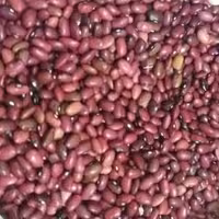 لوبیا قرمز درجه 1