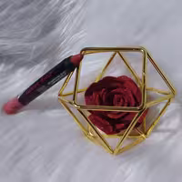 رژ لب 314 مدادی پلادیس ضد آب و بدون سرب