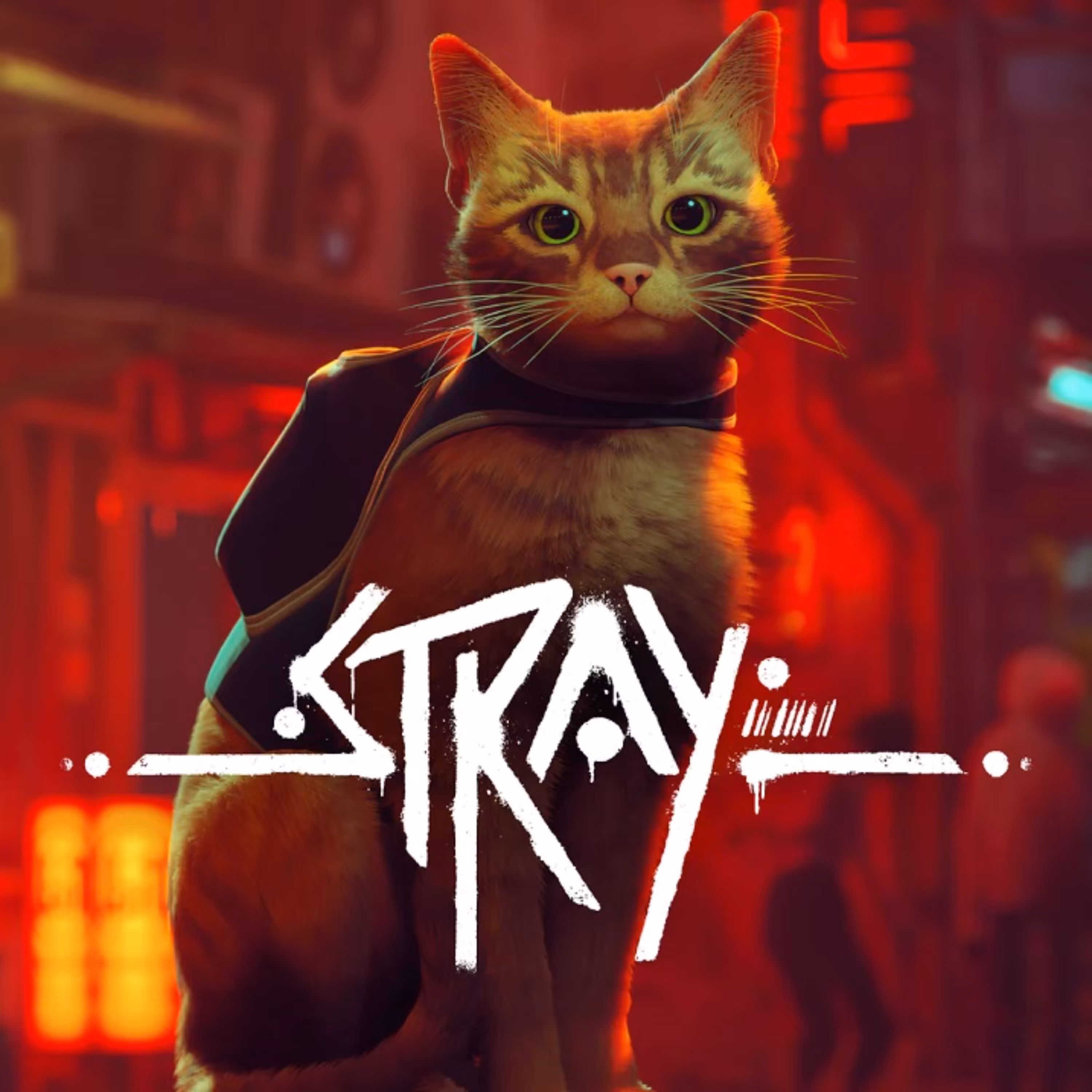 بازی کامپیوتری Stray