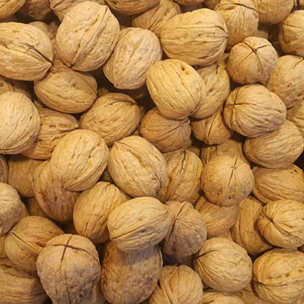 گردو باپوست اقتصادی ایرانی بسته بندی 1 کیلوگرمی شالیزار صادق