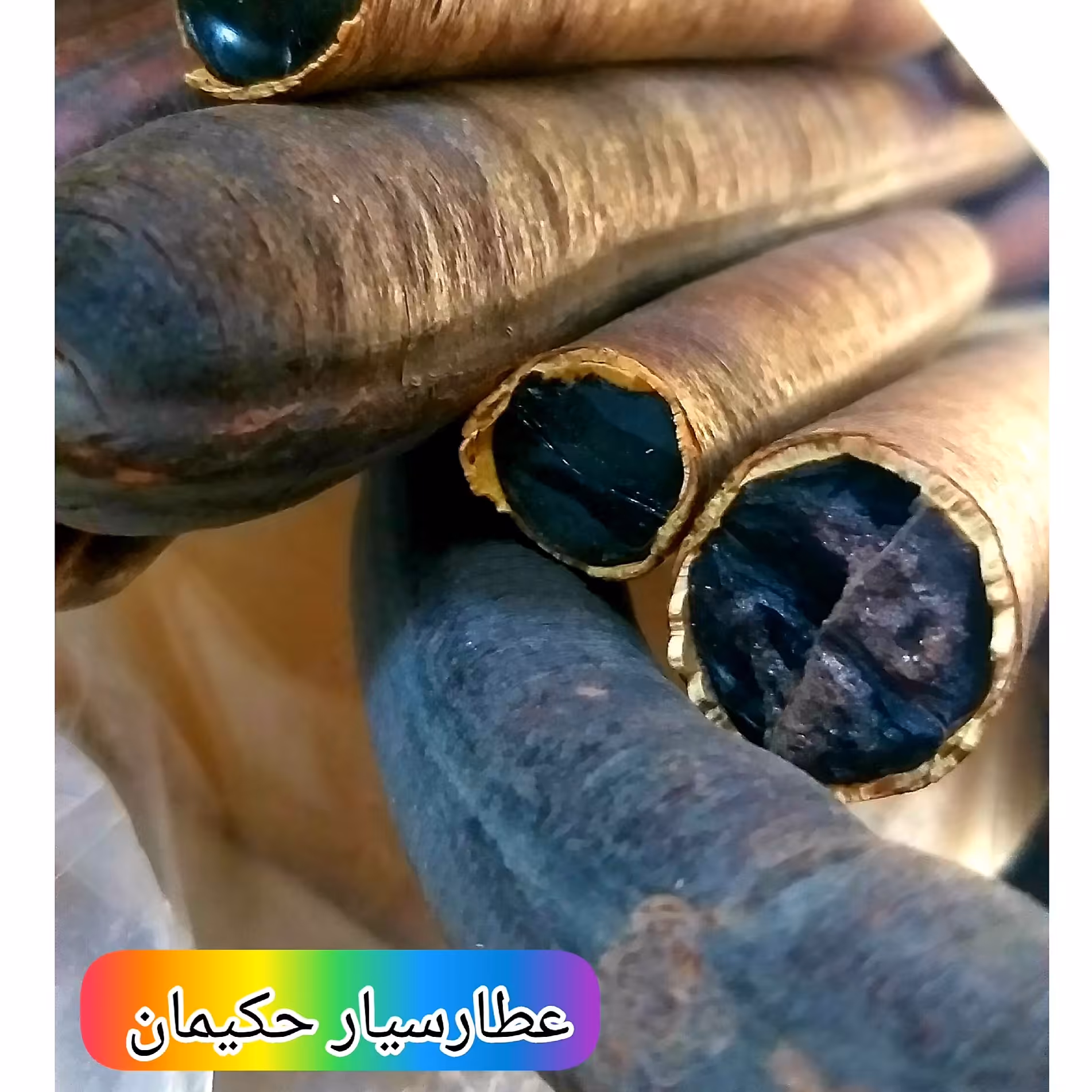 گیاه فلوس یا خرنوب هندی (65 گرمی) رفع یبوست