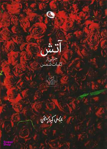 آتش دربادگالینگوردوجلدی
