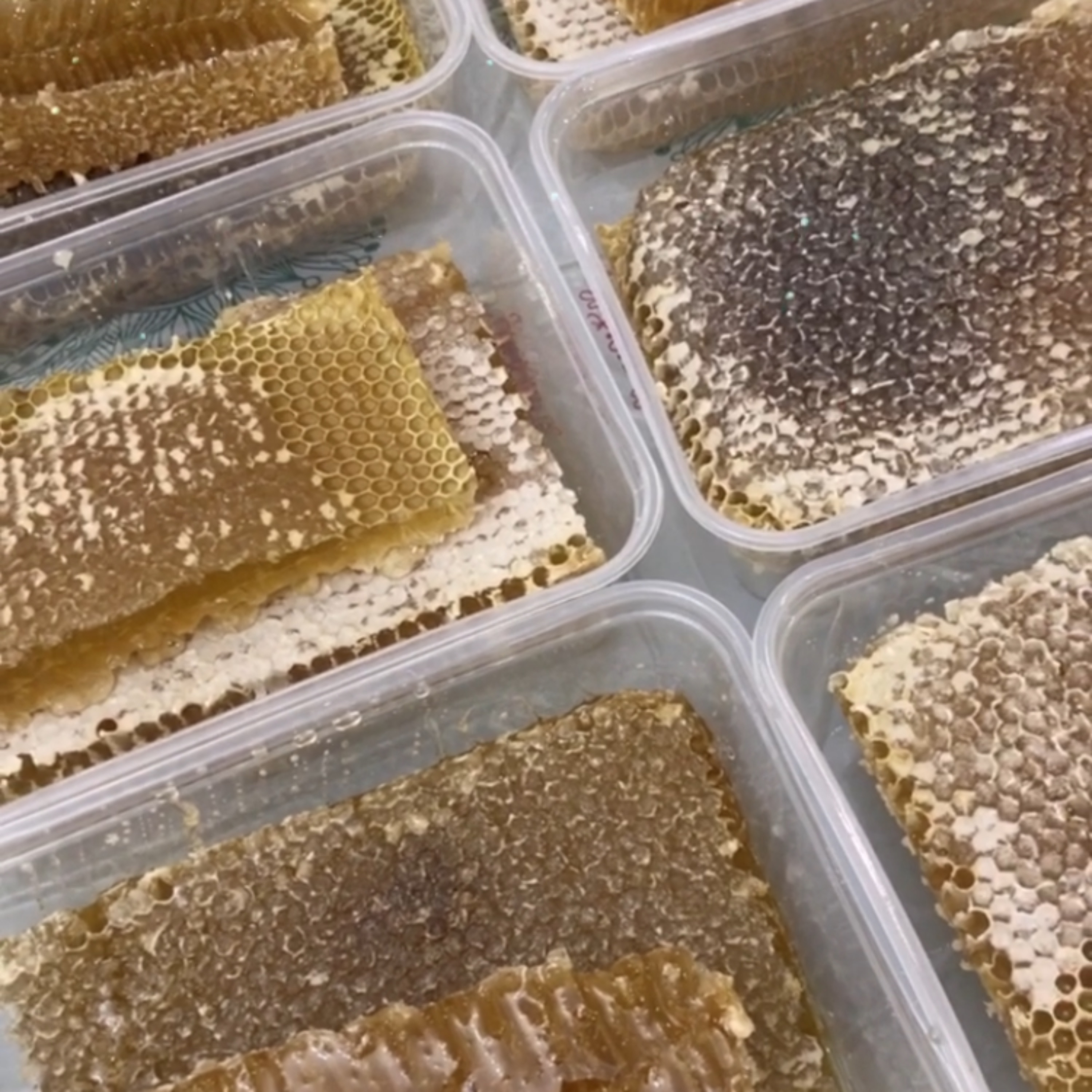 عسل گون با موم طبیعی یک کیلویی