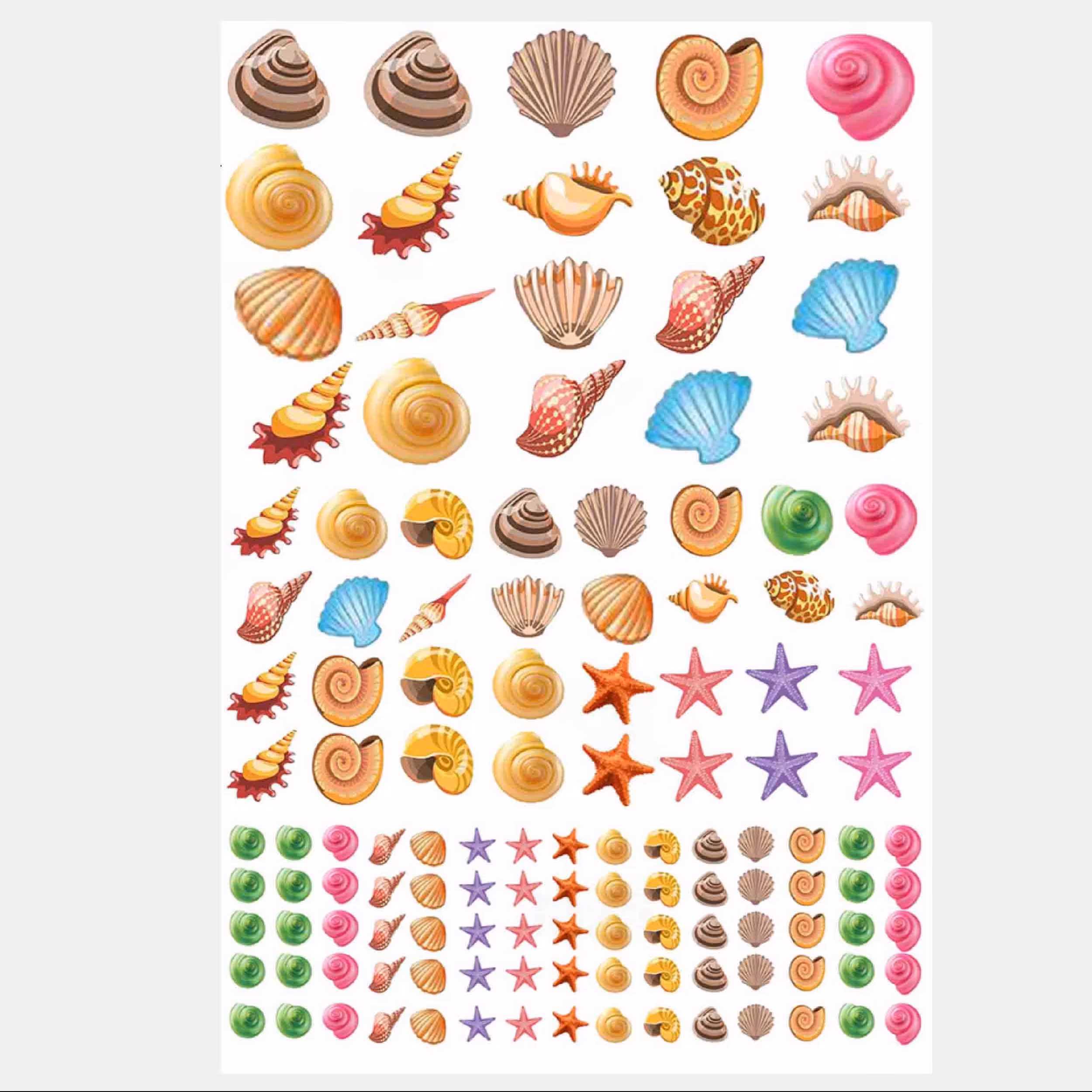 طلق ترنسپرنت یا رزین اپوکسی مدل صدف ابعاد 20 در 30 سانتی متر