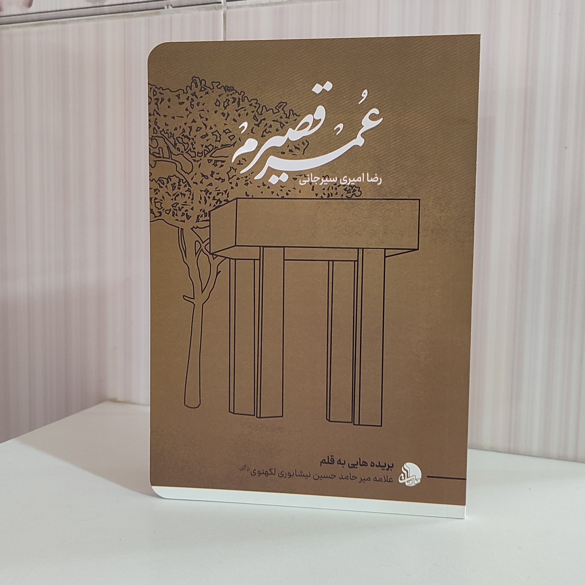 عمر مرغ سیرم رضا امیر سیرجانی بریده هایی به قلم علامه میر حامد حسین نیشابوری
