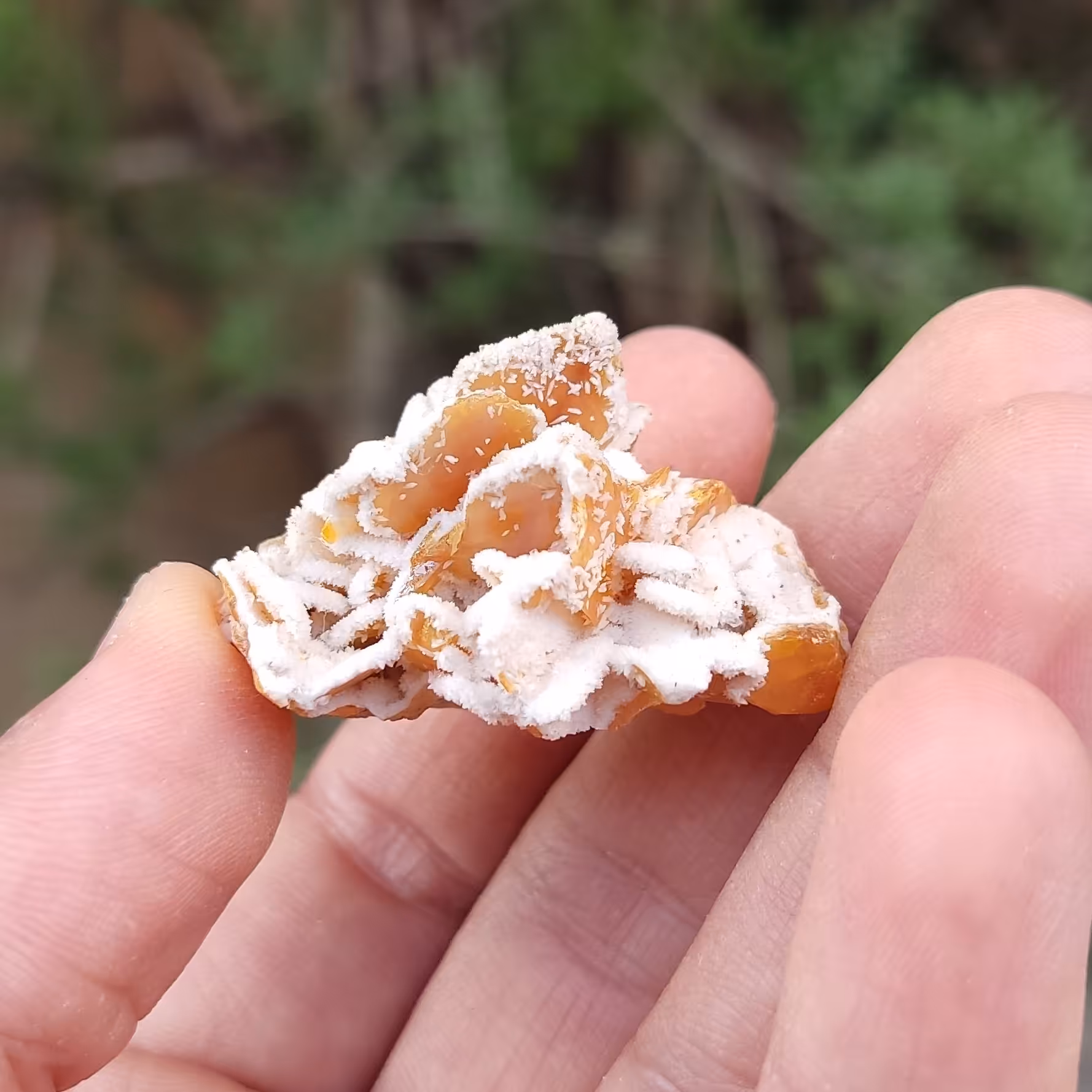 سنگ ولفونیت با همرشدی کلسیت کلکسیونی (کد 31)