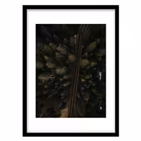 قیمت و خرید تابلو دکوراتیو مدل عکاسی دیدپرنده جاده جنگلی کد 1946