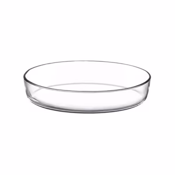 ظرف پخت بیضی پاشاباغچه کد 59064