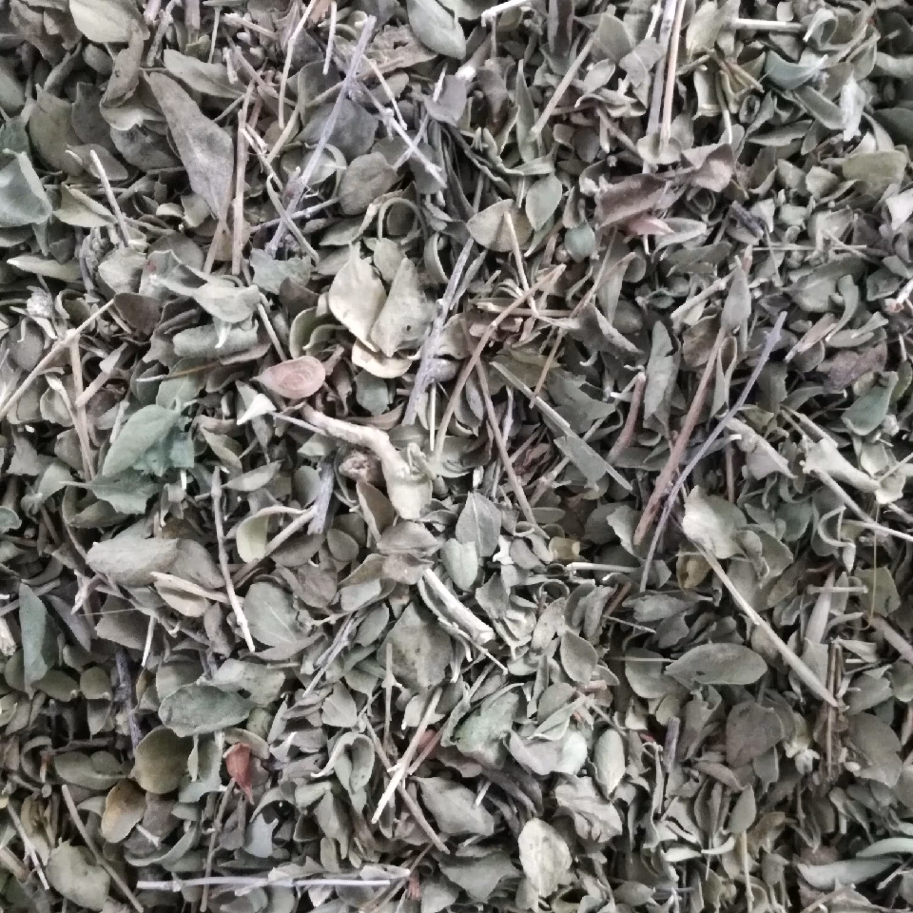 آویشن شیرازی اعلاء نیم کیلویی