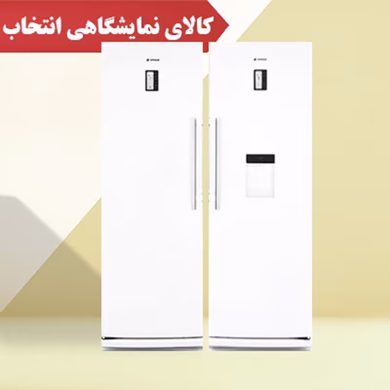 یخچال و فریزر دوقلو اسنوا مدل SN5-0190-SN6-0190