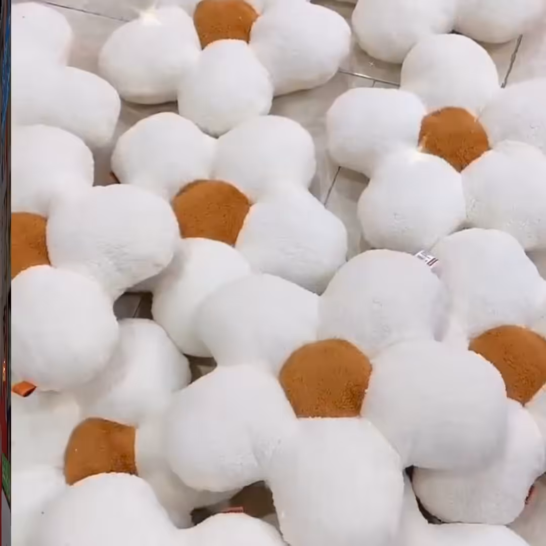 کوسن گل بابونه 35 سانت رنگبندی موجود 