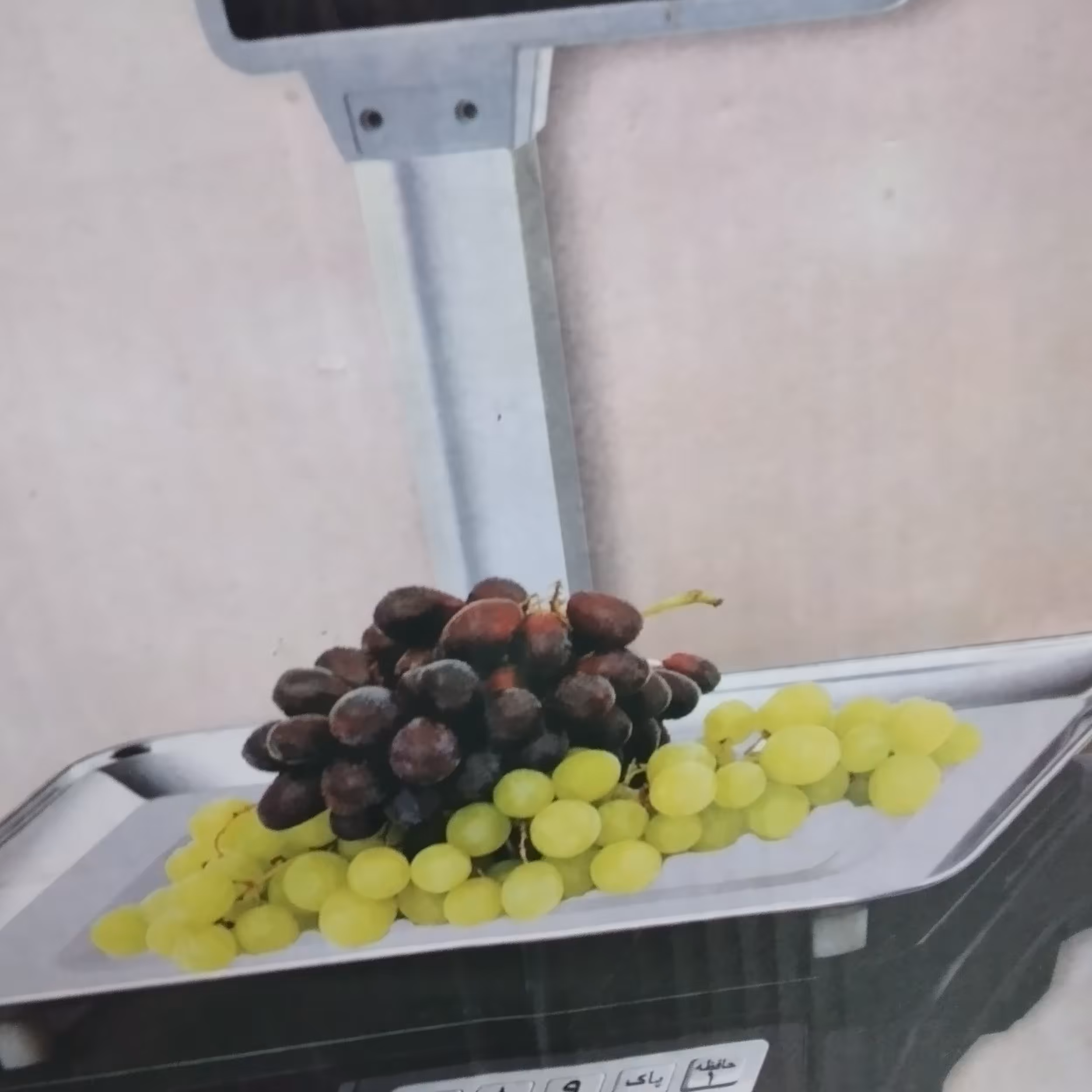 ترازوی 50 کیلویی محکدعلمک دار