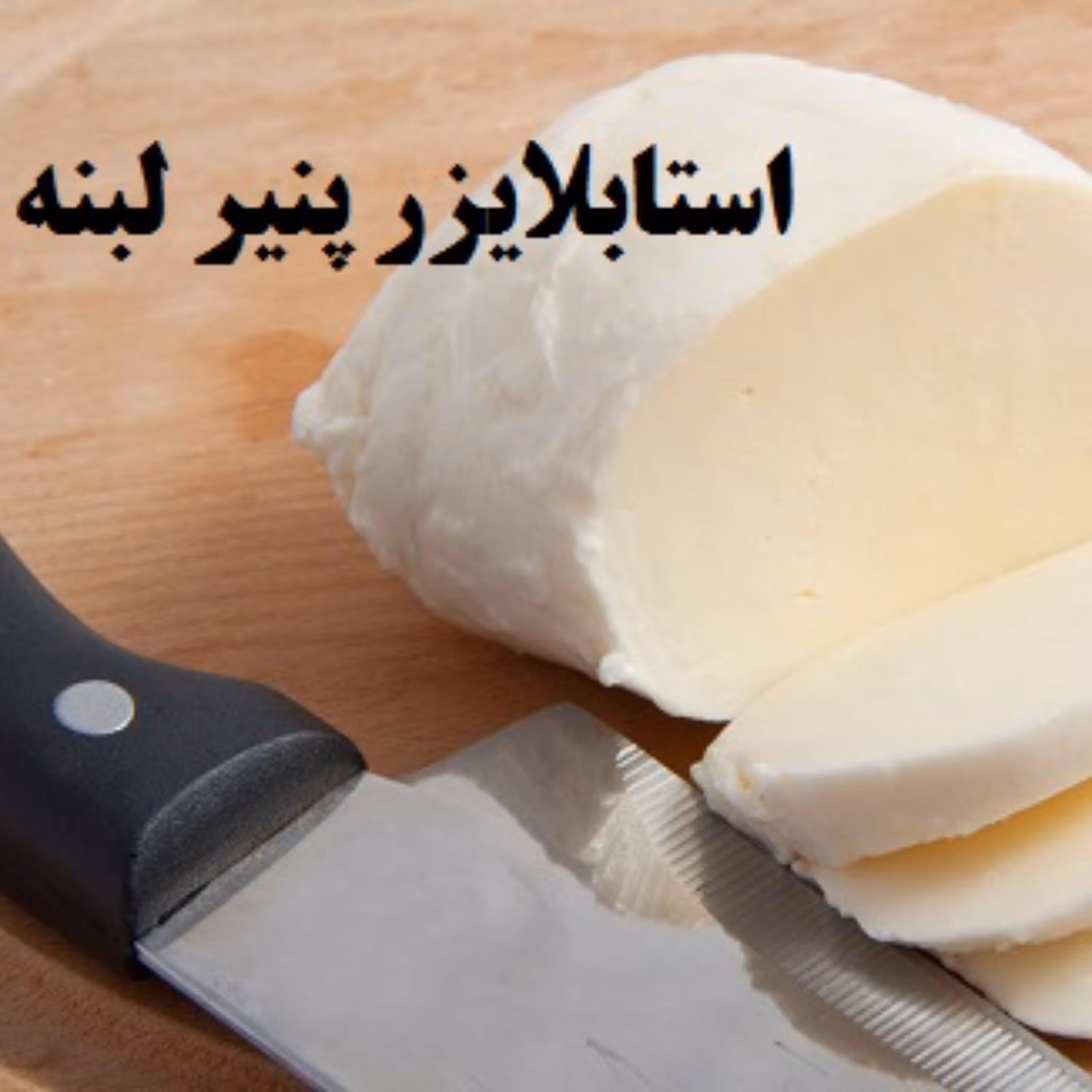 استابلایزر و پایدارکننده پنیر لبنه با برند عالی در بسته 500 گرمی