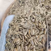 تخمه آفتابگردان خارجی طعم پیازجعفری هشتصد گرمی