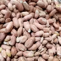 بادام زمینی درشت و دو الکه آستانه درجه یک و امسالی یک کیلوگرمی