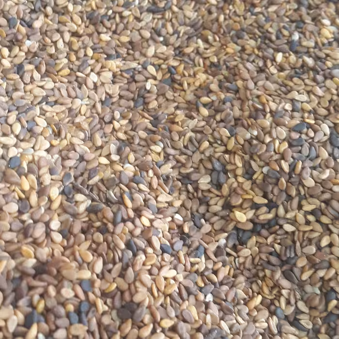 کنجد با پوست (نیم کیلویی)