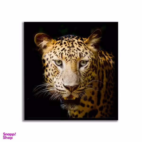 تابلو نوری بکلیت طرح یوزپلنگ مدل لایت باکس B-s51