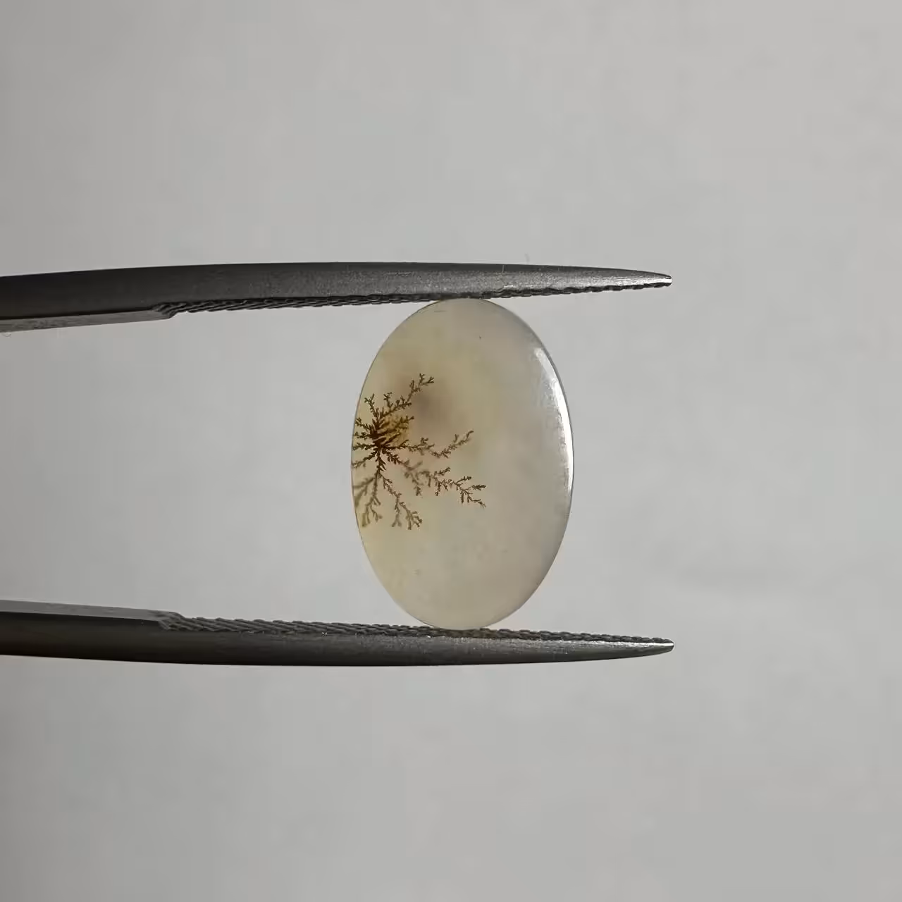 عقیق شجر ایران منظره دار 240951