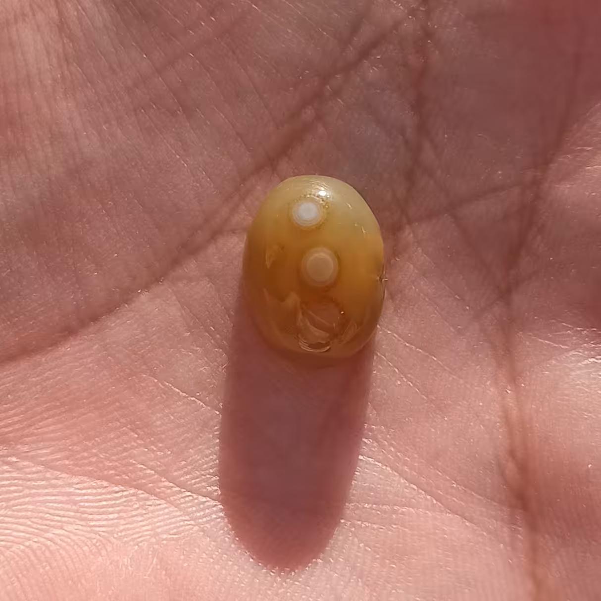 سنگ باباقوری جزع یمنی سه چشم طبیعی اصل درجه یک زیبا