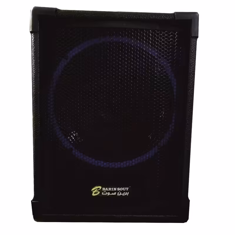 اکو همراه بلوتوثی با ضمانت