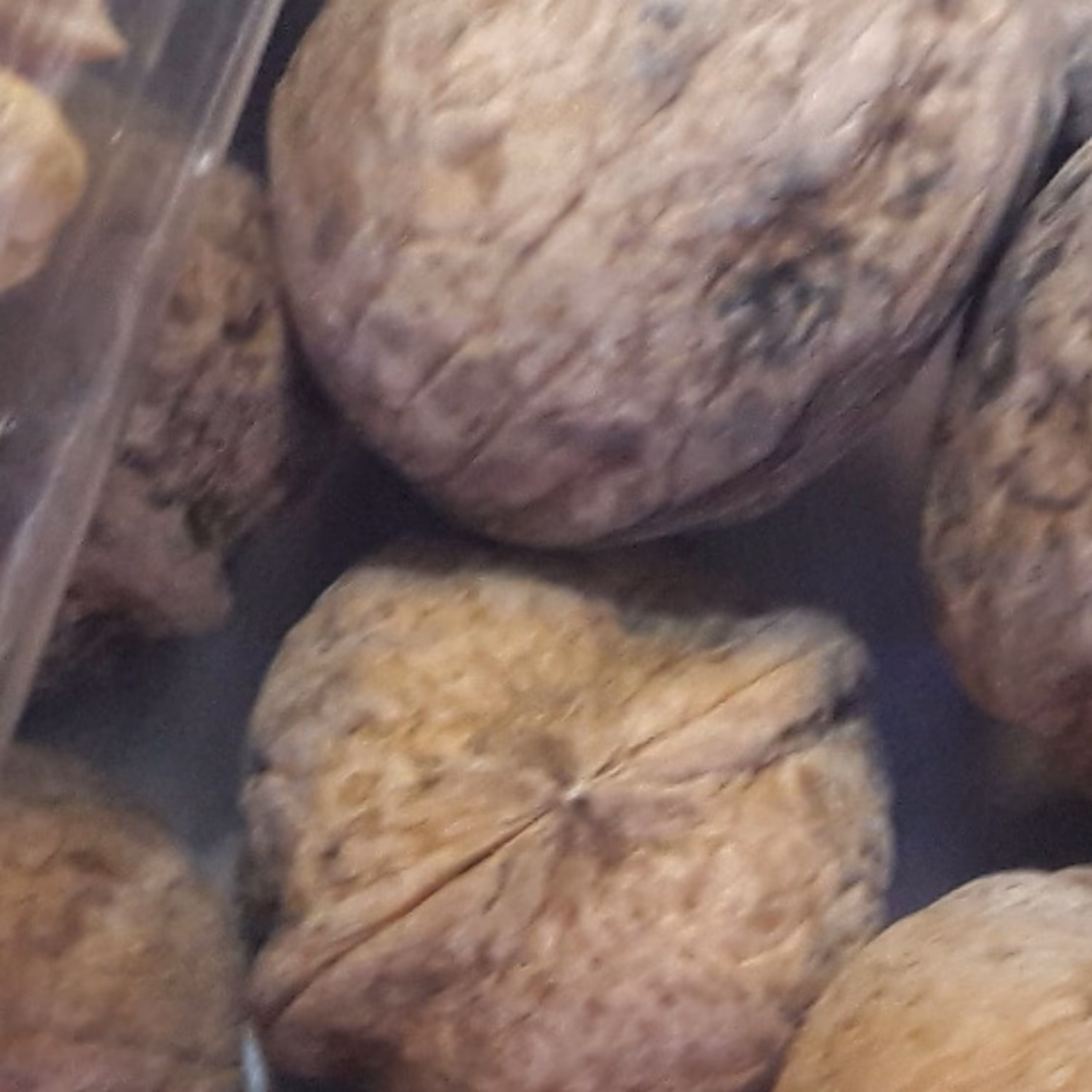 گردوی تازه میانه