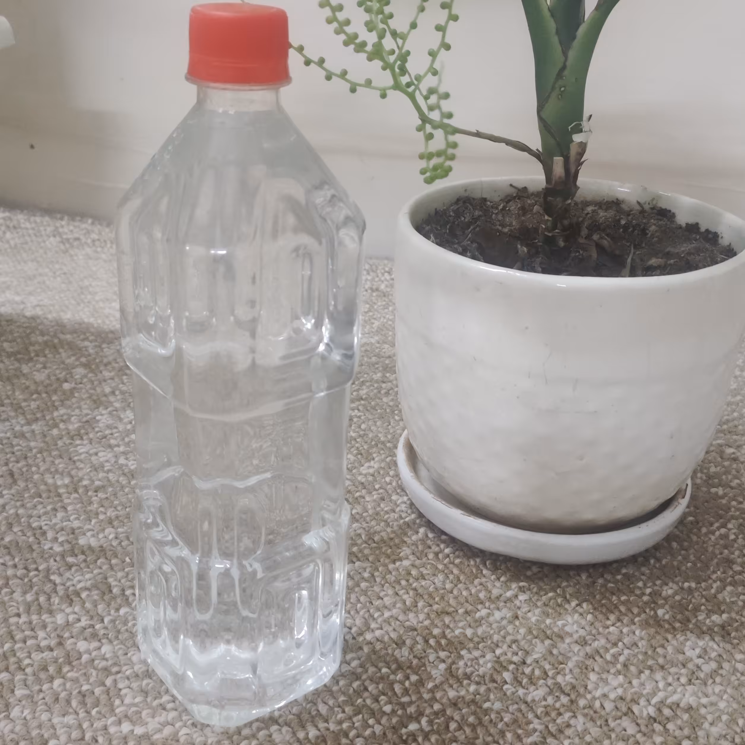 عرق نسترن خانگی صد در صد خالص (یک لیتری) 