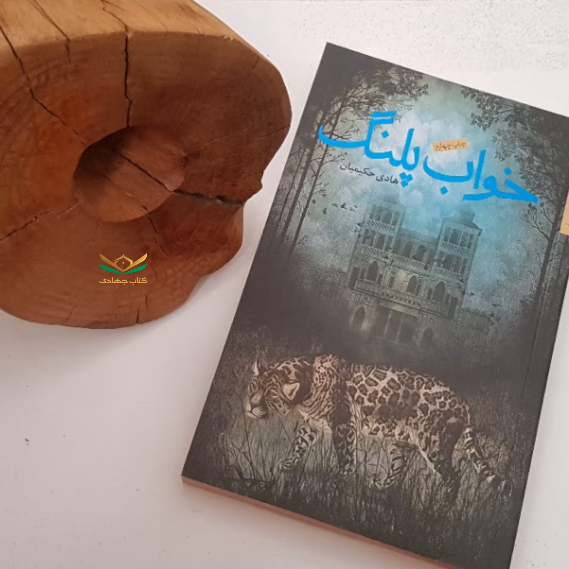کتاب خواب پلنگ