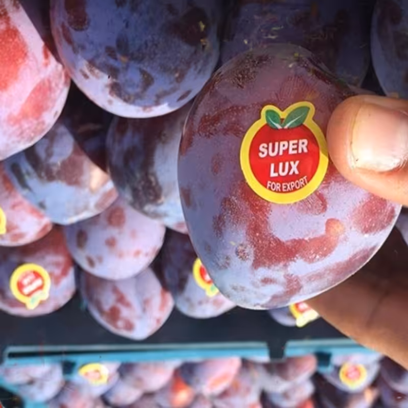 لیبل میوه آلو 5رول مناسب 1.5 تن میوه برای بسته بندی صادراتی یا فروش به قیمت لوکس در میدان تره بار