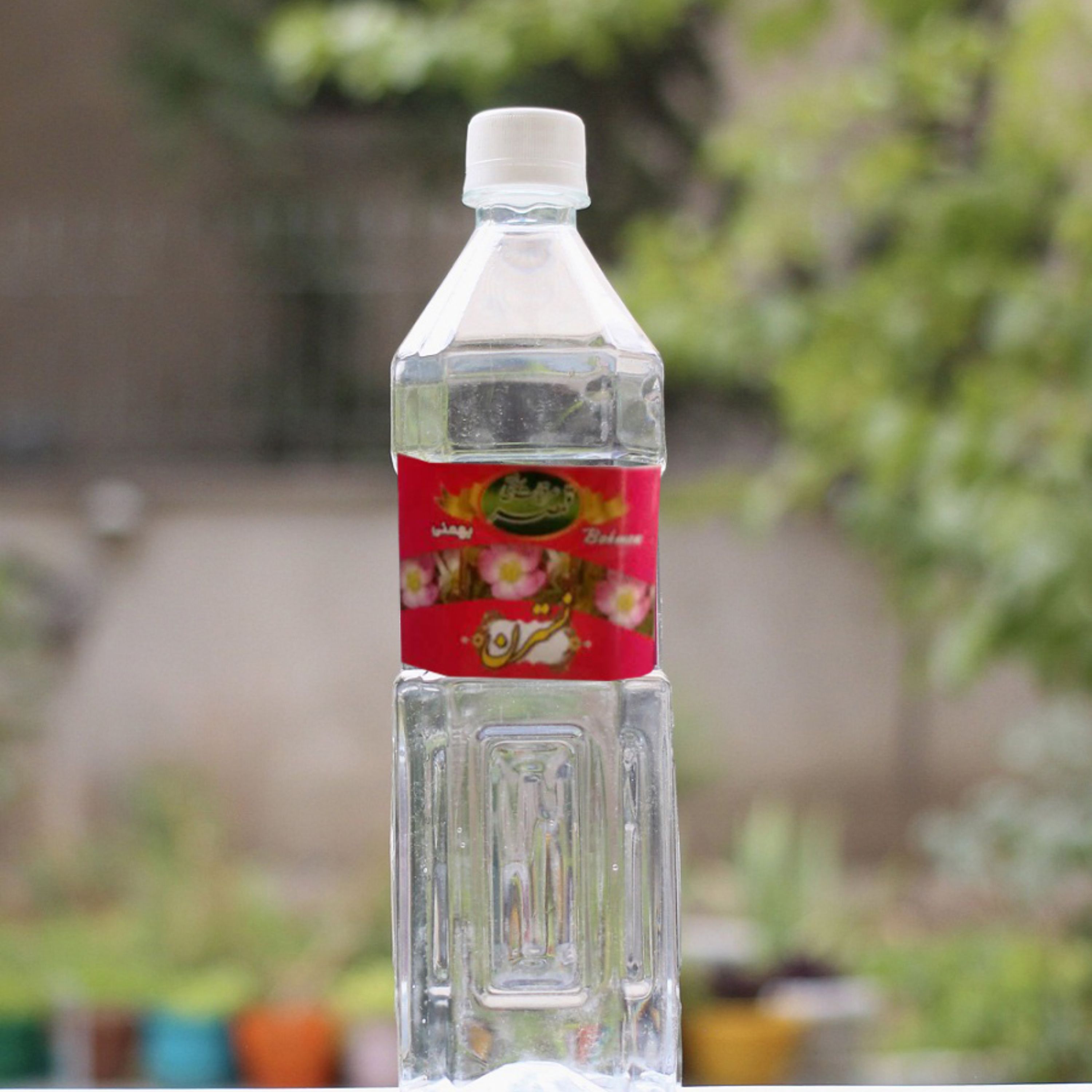 عرق نسترن