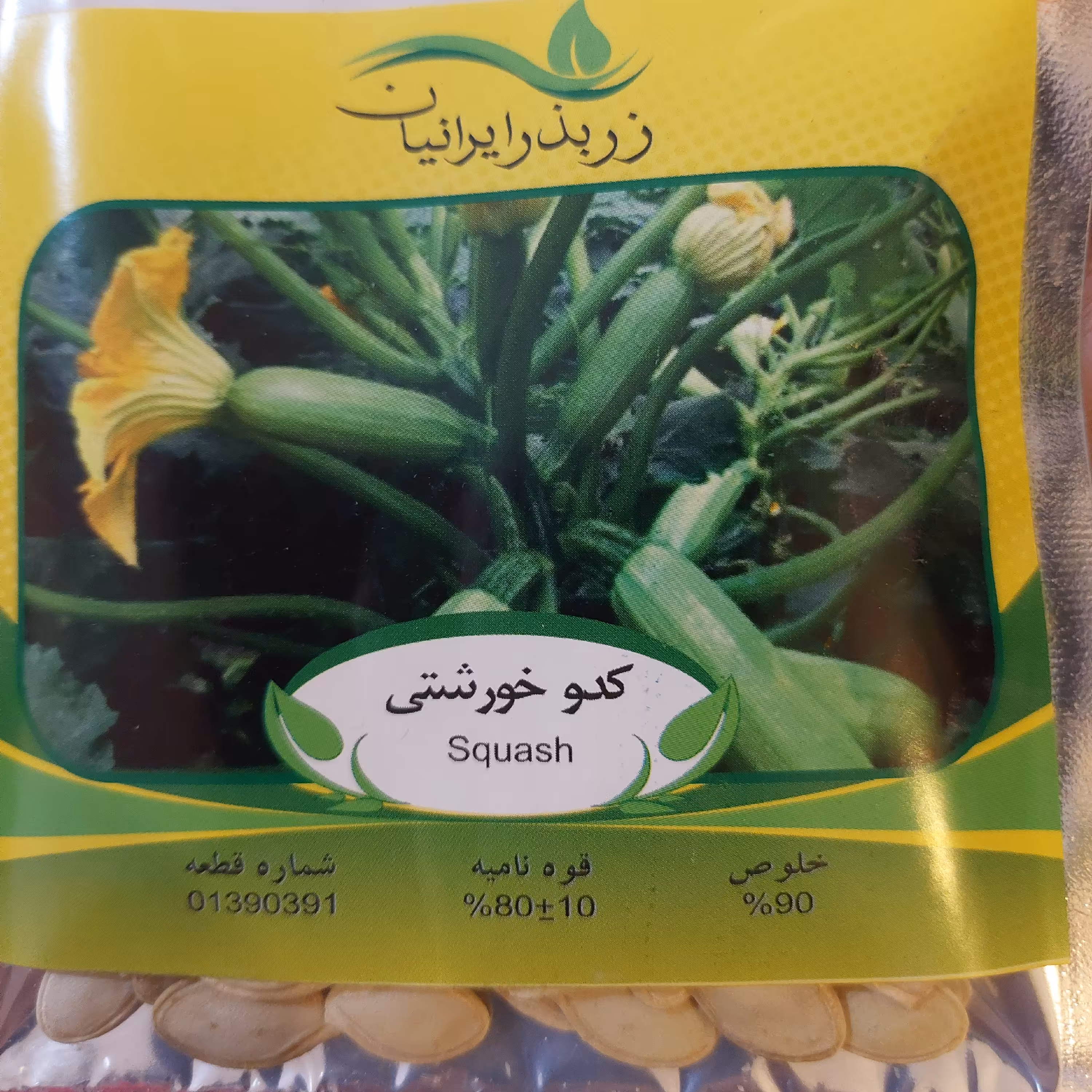 بذر کدو خورشتی